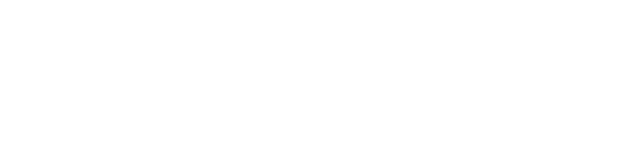 BRAVOS INVERSIONES Y PROPIEDADES